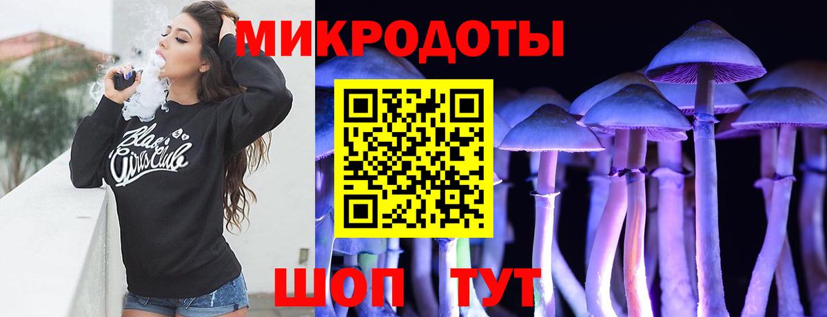 Галлюциногенные грибы MAGIC MUSHROOMS  Вход с VPN  Черняховск 